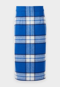 Pencil skirt - multimineral