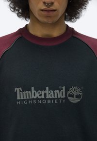Timberland COLOUR BLOCK RAGLAN TEE - Print T-shirt - black