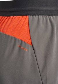 Gråa sportshorts med andningsbara orangea meshinlägg. Midjebandet är svart och har logotypen "BEE COOL" i orange.