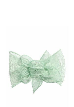 Light green sheer mesh fabric bow with multiple loops and pointed ends on a white background.
