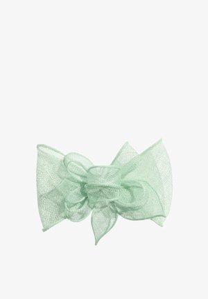 Light green sheer mesh fabric bow with multiple loops and pointed ends on a white background.