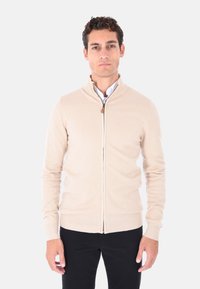 Maglione beige con zip realizzato in tessuto a maglia, caratterizzato da un colletto alto, polsini e orlo a coste, abbinato a una camicia con colletto sotto.