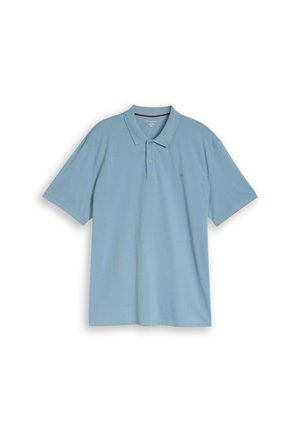 TOM TAILOR, TOM TAILOR POLOSHIRTS PLUS - POLOSHIRT MIT LOGO STICKEREI - Poloshirt - mountain spring blue