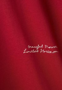 Pânză roșie cu o textură netedă, având un text brodat alb care spune „Putere grațioasă, Orizont fără limite.”