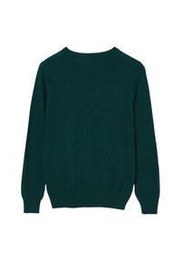 Dunkelgrüner gestrickter Pullover mit Rundhalsausschnitt, langen Ärmeln sowie gerippten Bündchen und Saum. Die Rückseite ist schlicht und hat keine sichtbaren Logos oder Muster.