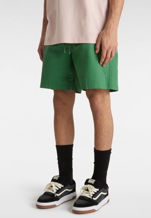 Homme portant un short vert, des baskets Vans noires avec des lacets blancs, des chaussettes noires et une chemise rose pâle, se tenant contre un fond blanc.