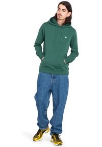 Element CORNELL CLASSIC - Jersey con capucha - grt