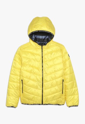 TOINE - Giacca invernale - honey
