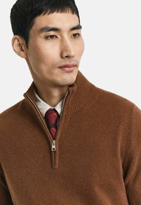 Brauner, gestrickter Pullover mit einem gerippten Kragen und halber Reißverschluss. Über einem karierten Hemd und einer karierten Krawatte getragen. Glatte Textur.