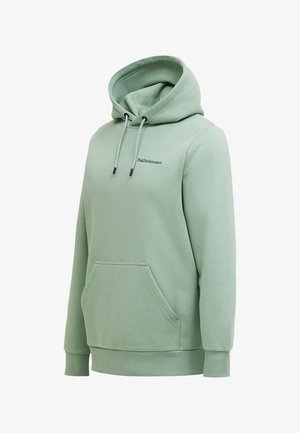 Felpa con cappuccio verde chiaro con tasca frontale, cappuccio con coulisse regolabile e polsini a costine. Presenta un piccolo logo sul petto. Tessuto morbido.