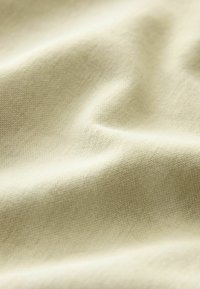 Next HEAVYWEIGHT SHORT SLEEVE CREW NECK STANDARD - Marškinėliai su spaudiniu - sage green