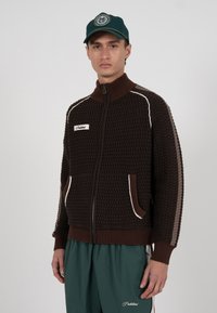 Brun strikket zip-up jakke med høy krage, hvite aksentstriper, to sidelommer og ribbestrikkede mansjetter, brukt med grønne bukser.