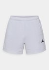D4T POWER ESSENTIALS WORKOUT MESH - Short de sport - halo silver-coloured
