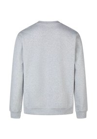 Light gray sweatshirt with a round neck, long sleeves, and ribbed cuffs. Smooth texture, no visible patterns or accents.