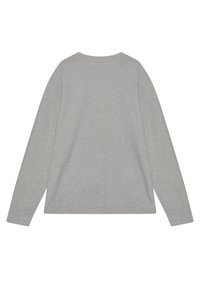 Graues Langarm-T-Shirt aus weicher Baumwolle, mit Rundhalsausschnitt und lockerer Passform, ausgestattet mit eingesetzten Ärmeln. Schlichte Rückseite, keine Muster oder Logos.