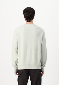 Lys grøn, tekstureret sweatshirt med rund hals og ribbet manchetter, set fra ryggen mod en hvid baggrund.