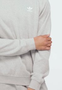 Ljusgrå sweatshirt gjord av mjukt tyg. Har rund halsringning, ribbade muddar och en liten vit logotyp på bröstet.