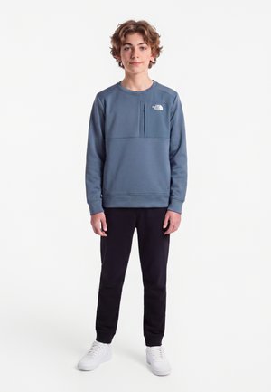 The North Face TEEN PERFORMANCE FLEECE CREW UNISEX - Суитшърт - granite grey