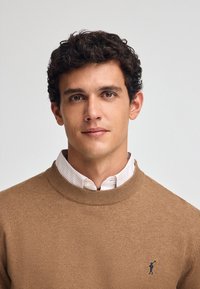 Beige Strickpullover mit geripptem Kragen, getragen über einem weiß und hellblauen gestreiften Hemd mit Knopf. Verfügt über ein kleines gesticktes Logo.