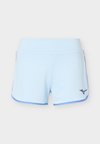FLEX SHORT - Αθλητικό σορτς - ice water