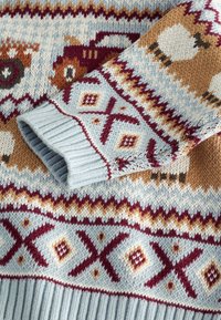 Neulottu neulepaita, jossa on sinisiä, ruskeita ja viininpunaisia värejä sekä geometrisia kuvioita ja eläinaiheita. Resorit ovat kirjavia ja eri tekstuureja yhdistäviä.