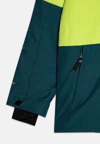 Brunotti STROKERSY S BOYS SNOW UNISEX - Lyžařská bunda - fuel green