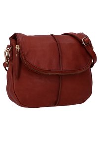 Ruda odinė petneša su apvalia forma, užtrauktuko uždarymu ir reguliuojama juostele. Savybės: lygus paviršius ir auksiniai aksesuarai.