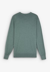 Lichtgroen sweatshirt met lange mouwen en ronde hals, ribgebreide manchetten en een gladde textuur. Achteraanzicht toont een effen kleur en een eenvoudig ontwerp.