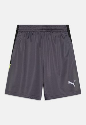 Graue Sportshorts mit schwarzen seitlichen Akzenten, elastischem Bund, zwei Seitentaschen und einem kleinen weißen Puma-Logo am unteren rechten Bein.