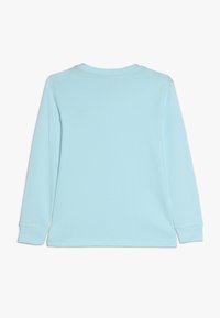 Långärmad ljusblå skjorta gjord av mjukt bomull. Har rundad halsringning och uppvikta ärmar. Enfärgad baksida utan några mönster eller detaljer.