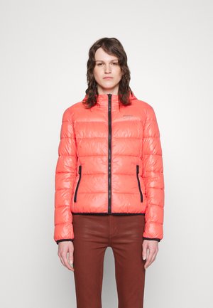 FAMARA 1 - Veste d'hiver - open red