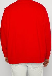 Czerwona bluza z długim rękawem i żeberkowym okrągłym dekoltem. Charakteryzuje się luźnym krojem i gładką fakturą, widok z tyłu.