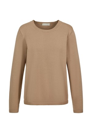 Pull marron clair à manches longues avec col rond, design uni et poignets et ourlet côtelés, présenté sur un fond blanc.