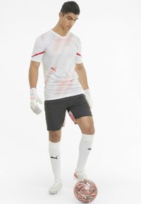 Puma INDIVIDUAL SHORTS - Kurze Sporthose - asphalt-red blast