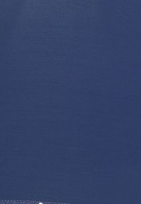 DIM GENEROUS CLASSIC BRIEF - Cuecas - navy blue