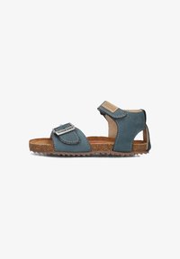 Geselecteerd, blue