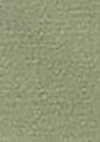 Wrangler CASEY  - Shorts - olive