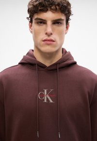 Brun hettegenser med frontlogo i hvitt og rødt, med snor. Den har en glatt tekstur og en avslappet passform.