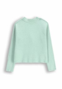 Miętowozielony sweter z prążkowanej dzianiny, z długim rękawem, okrągłym dekoltem i raglanowymi rękawami. Posiada krótki krój i rozcięcia po bokach u dołu.