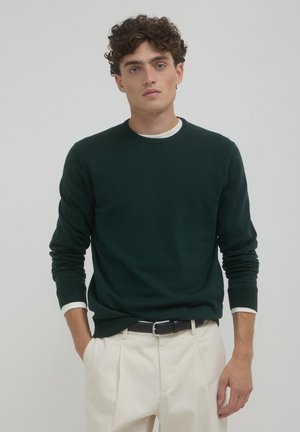 Calliope PROFILI CONTRASTO FIN - Jumper - vert