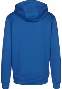 Sweat à capuche bleu à manches longues vu de dos avec une capuche, des poignets côtelés et un ourlet côtelé.