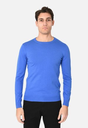 Uomo in piedi di fronte che indossa un maglione aderente a maniche lunghe di colore blu brillante e pantaloni neri su uno sfondo chiaro e semplice.