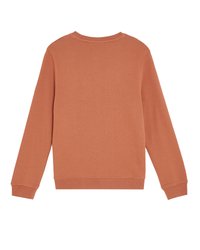 Sudadera de algodón naranja, cuello redondo, mangas largas, puños y dobladillo acanalados, textura suave, diseño simple, sin gráficos ni adornos.