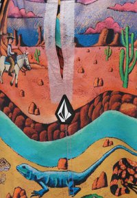 Χρωματιστά μαγιό βερμούδα με σχέδιο ερήμου που περιλαμβάνει κάκτους, σαύρες και βράχους. Κατασκευασμένα από ελαφρύ ύφασμα με φερμουάρ μπροστά.