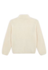 Dickies MOUNT HOPE - Fleecegenser - whitecap gray