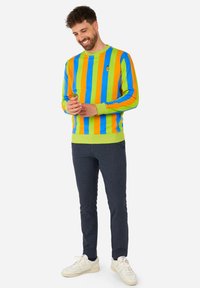 Bunter gestreifter Pullover in Grün, Orange, Blau und Gelb, mit Rundhalsausschnitt und lockerer Passform. Kombiniert mit dunklen Hosen und weißen Sneakern.