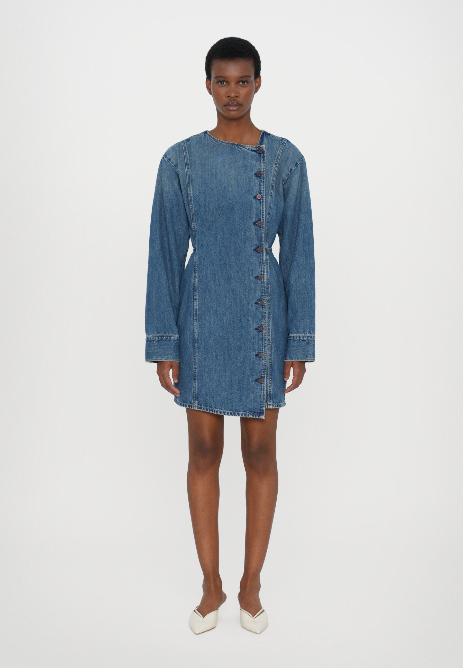 won hundred denim dress Allegra Printed Denim Dress