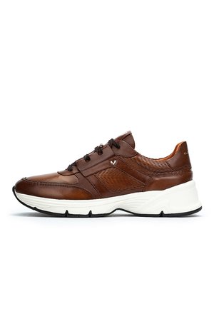 NORWICH - Trainers - dark brown
