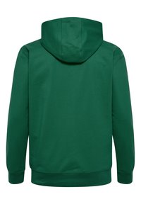Groene hoodie met een trekkoordkap, lange mouwen en een zachte textuur. Heeft een standaard snit met ribgebreide manchetten en zoom. Geen zichtbare logo's.