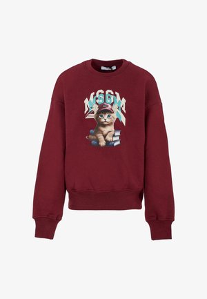 Felpa marrone con scollo a girocollo, caratterizzata da una grafica di un gattino con un cappello, seduto su libri impilati, e il logo "MSGM."